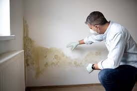 Best Commercial Mold Inspection  in Lewistown, IL